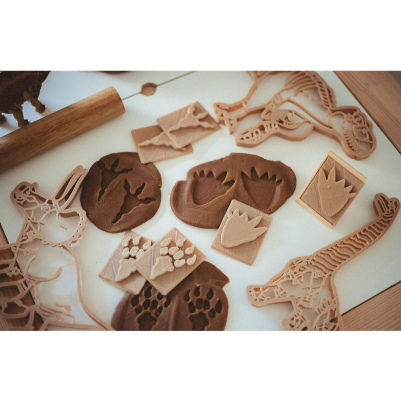 Timber Kids Dinosaur Footprint Eco Stamps