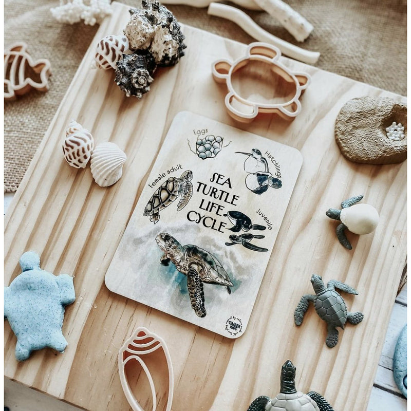 Timber Kids Sea Turtle Life Cycle Timber Tile