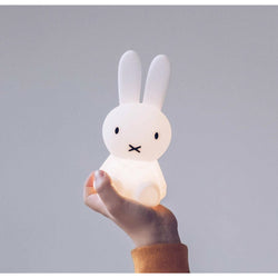 Mr Maria Miffy Bundle Of Light